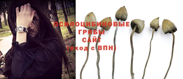 a pvp Балахна