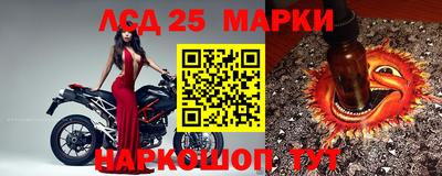 прущие грибы Рыбинск