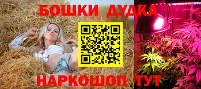 спиды Рузаевка